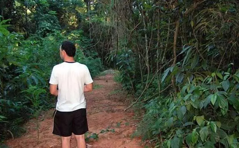 Fotos del hotel Sol Cataratas:  15