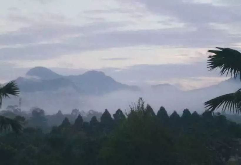 Fotos del hotel Takhun Mountain View:  3