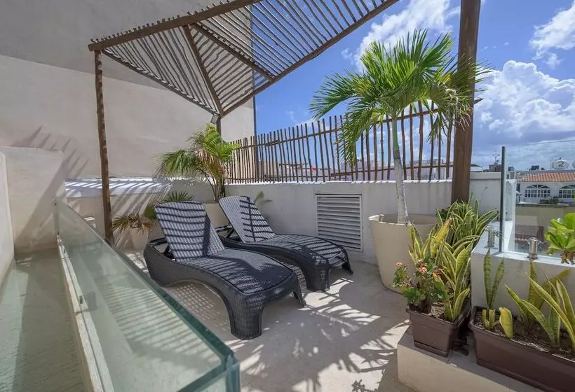 Fotos del hotel Aruma:  10