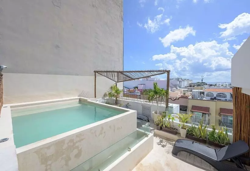 Fotos del hotel Aruma:  23