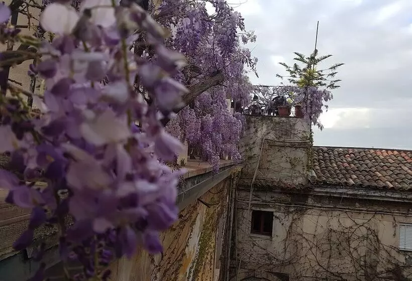 Fotos del hotel Biscari:  5