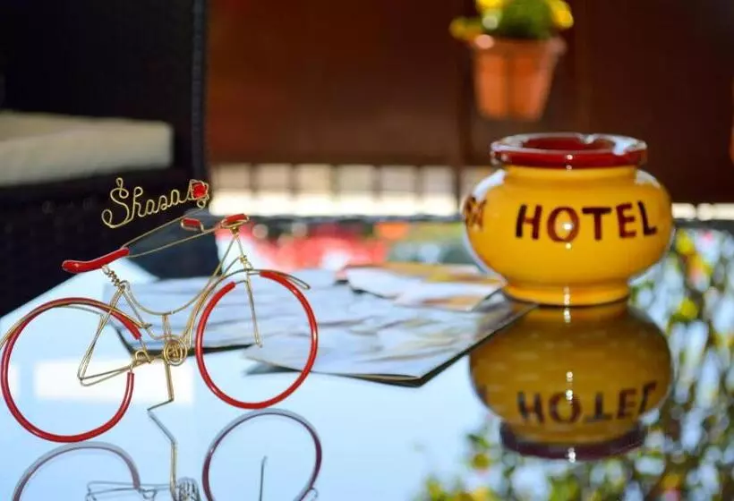 Fotos del hotel Shasa:  7