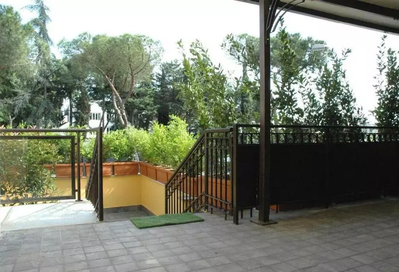 Fotos del hotel Shasa:  11