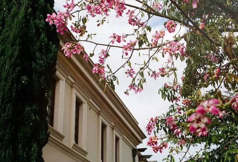 Fotos del hotel The Ashbee:  22