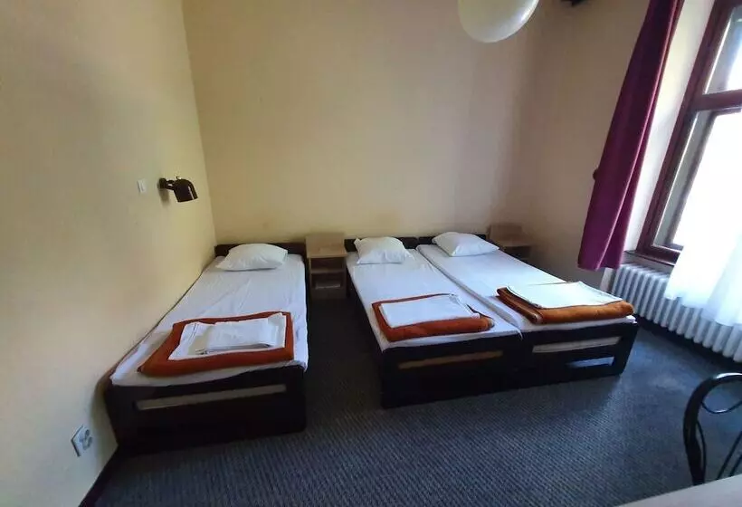 Fotos del hotel Vojvodina:  13