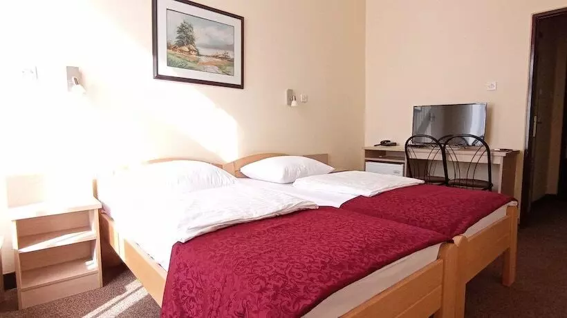 Fotos del hotel Vojvodina:  11