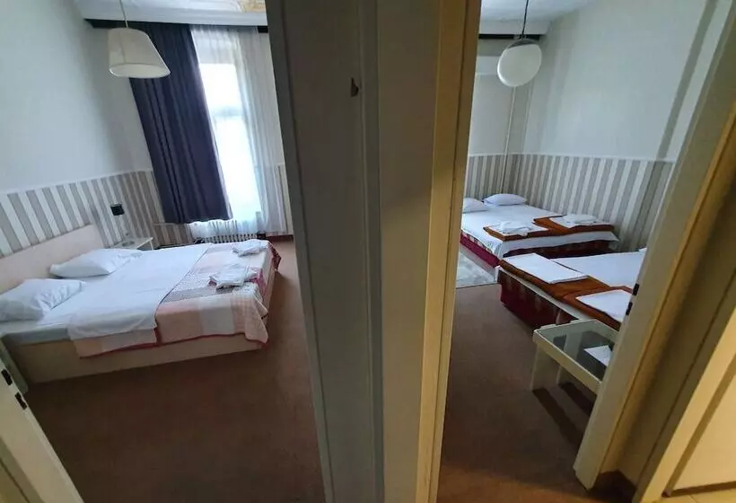 Fotos del hotel Vojvodina:  17