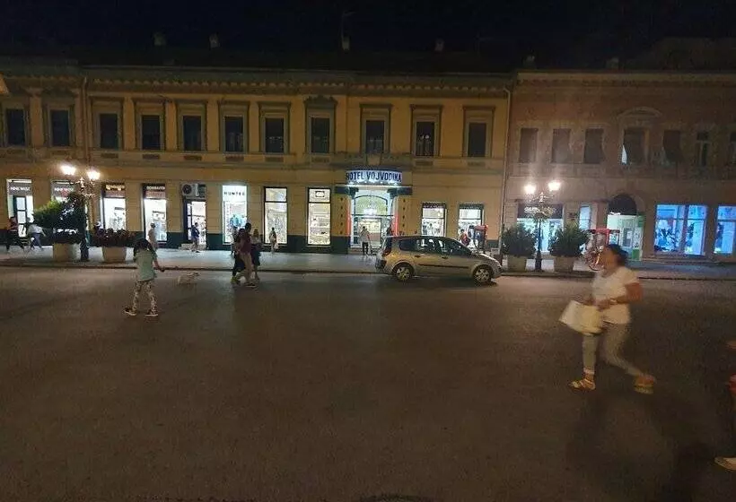 Fotos del hotel Vojvodina:  4