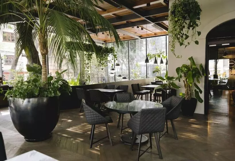 Fotos del hotel Brick  Mexico City:  25