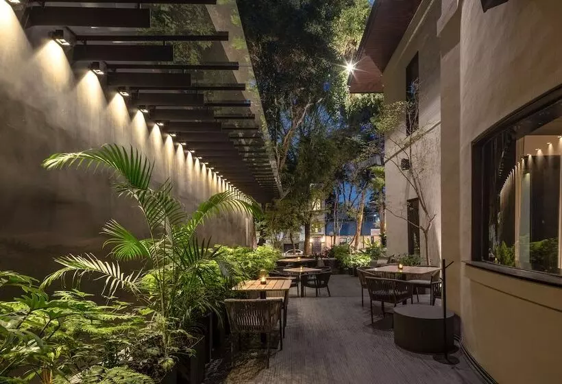 Fotos del hotel Brick  Mexico City:  12