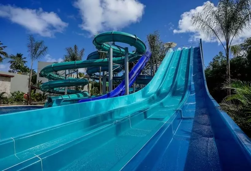 Dreams Royal Beach Punta Cana Dreams Royal Beach Punta Cana