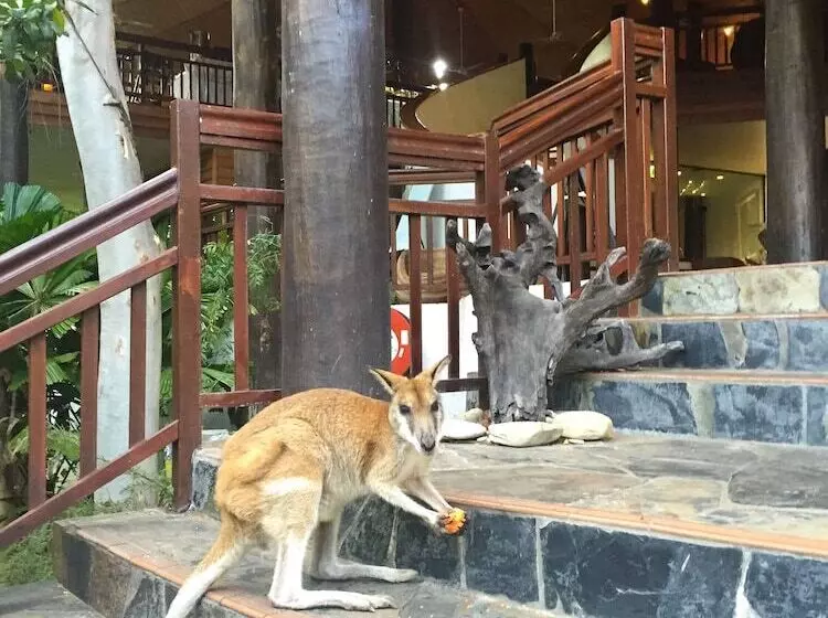 Fotos del hotel Thala Beach Nature Reserve:  3