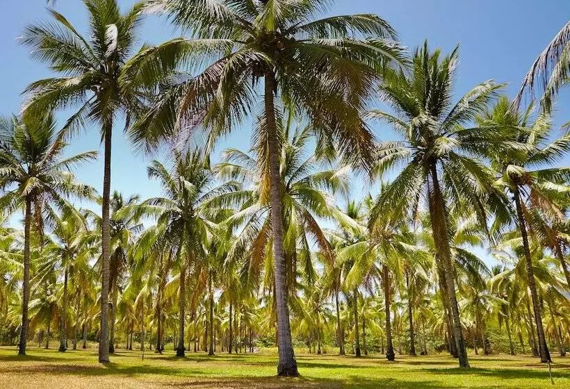 Fotos del hotel Thala Beach Nature Reserve:  12