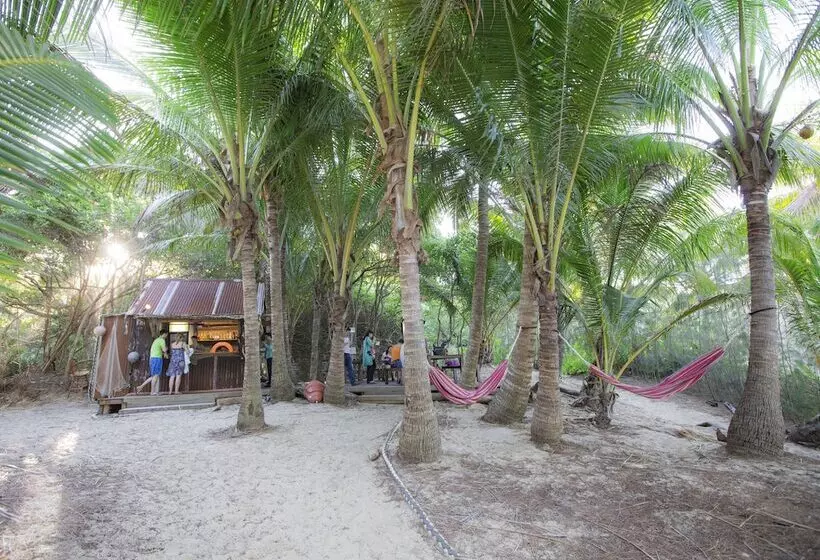 Fotos del hotel Thala Beach Nature Reserve:  15