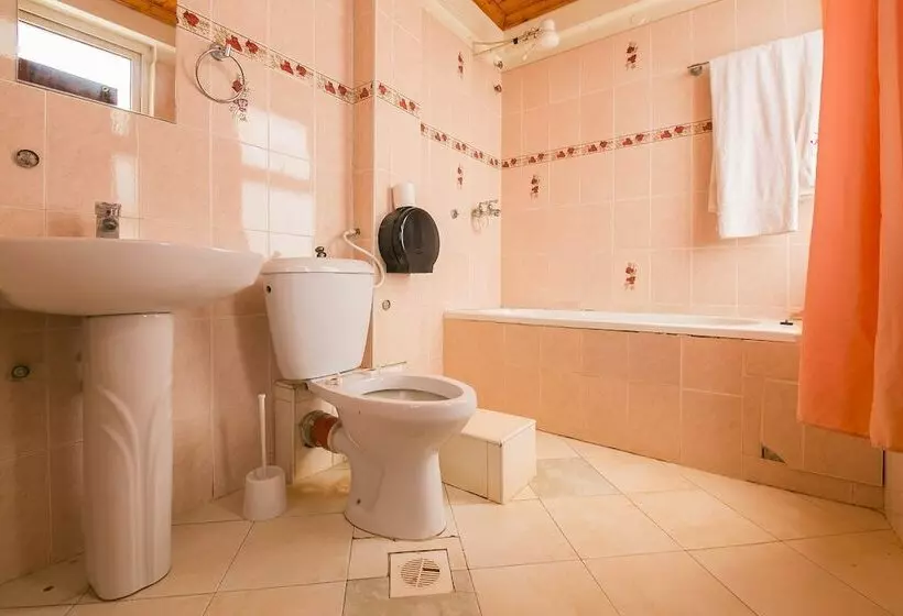 Fotos del hotel Western Ambience:  12