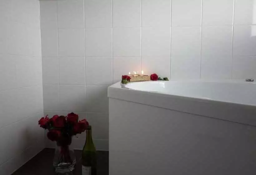 Fotos del hotel Executive On Fenton:  7