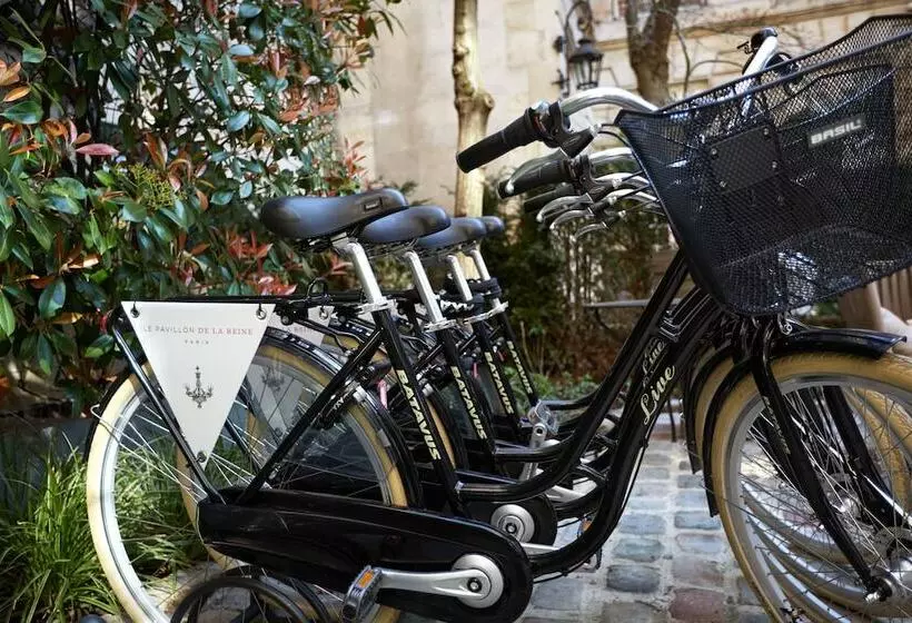 Fotos del hotel Du Petit Moulin:  6