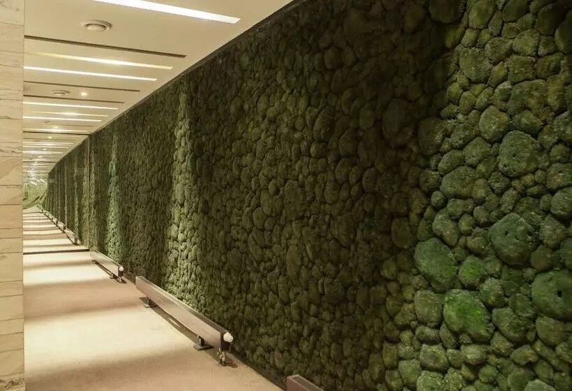 Fotos del hotel Yasmin:  8