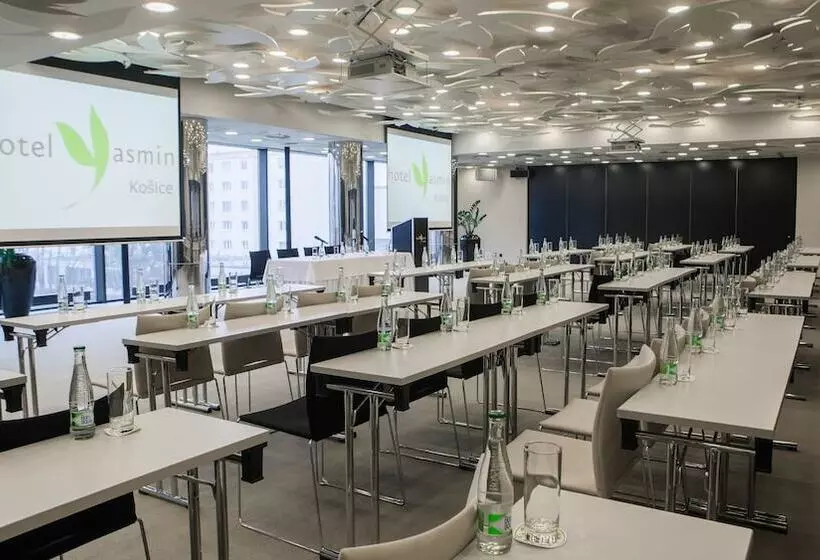 Fotos del hotel Yasmin:  21