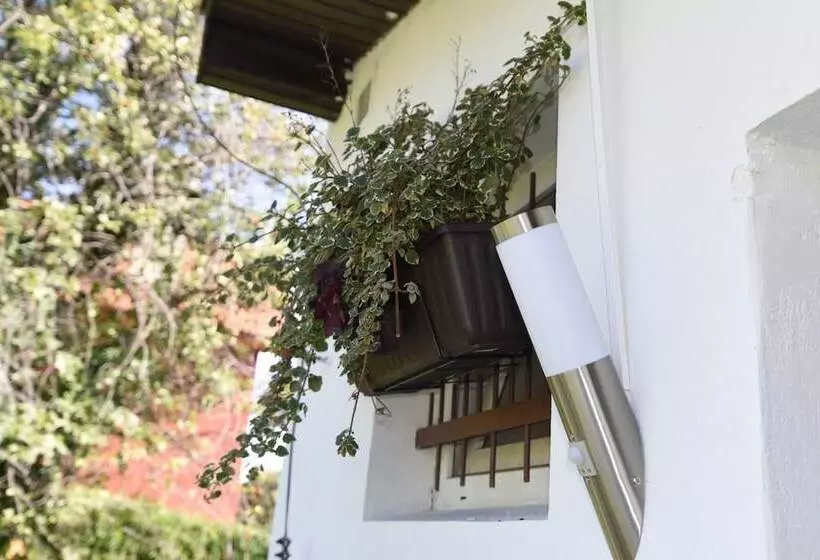 Fotos del hotel Taxis Bratislava:  16