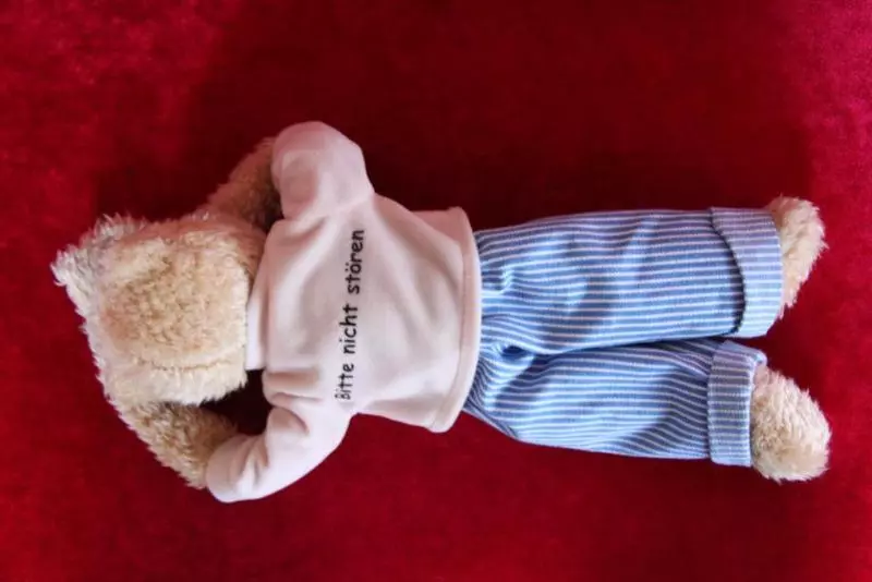 Fotos del hotel Albatros:  7