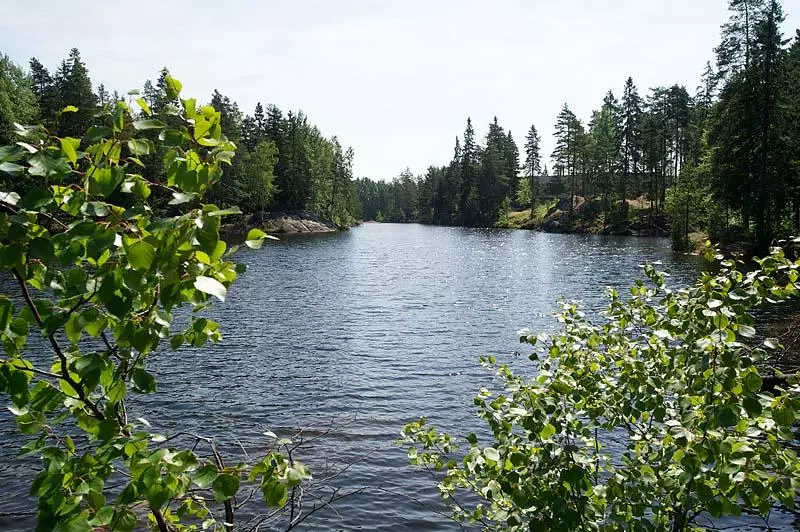 Fotos del hotel Korpilampi:  25