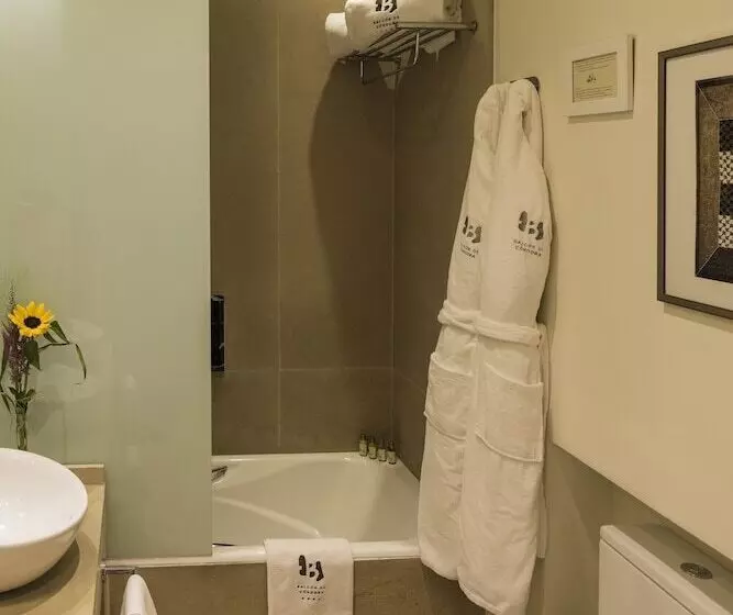 Fotos del hotel Balcón De Córdoba:  8