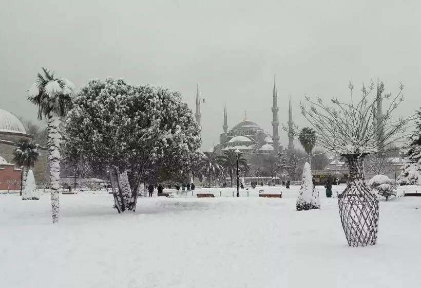 Fotos del hotel Esans Hotel  Special Category:  6