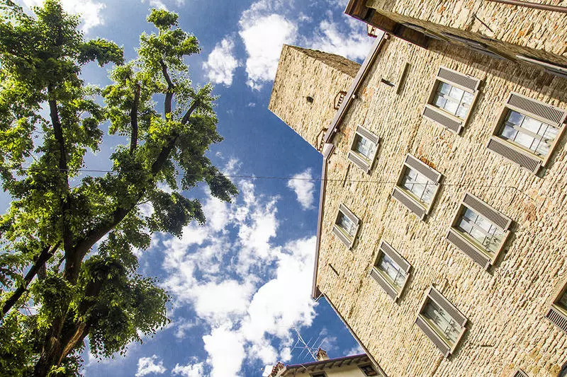 Fotos del hotel Gombit:  7