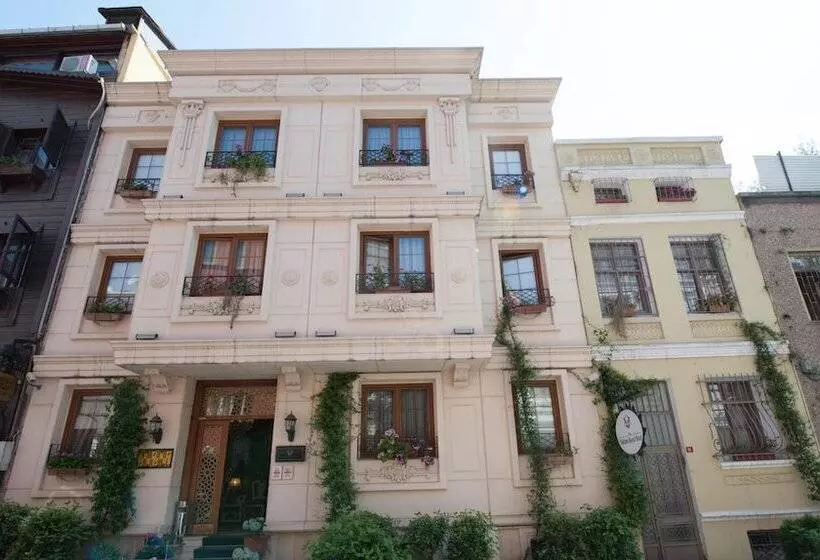 Fotos del hotel Sultans Royal Hotel:  12