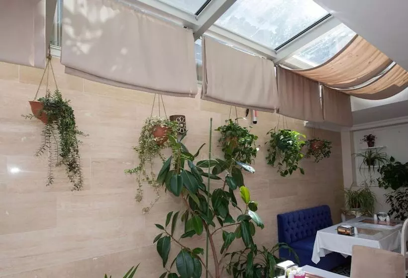 Fotos del hotel Sultans Royal Hotel:  3