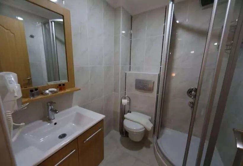 Fotos del hotel Sultans Royal Hotel:  4