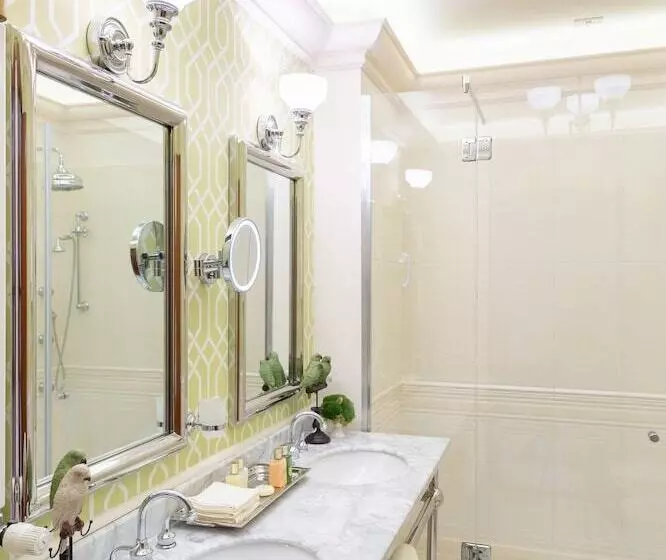 Fotos del hotel Suter Palace Heritage Boutique:  24