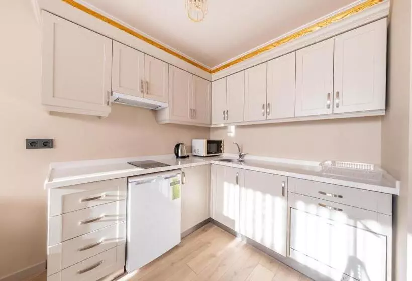 Fotos del hotel Ar Suites Taksim:  4