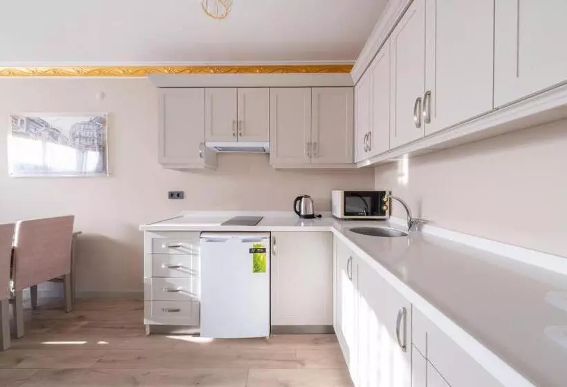 Fotos del hotel Ar Suites Taksim:  7