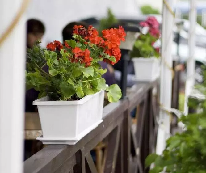 Fotos del hotel Salute:  12