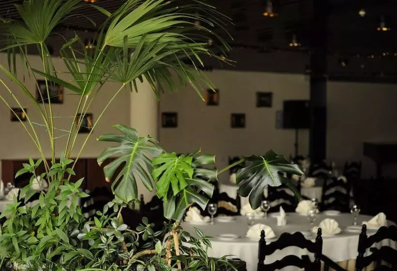 Fotos del hotel Salute:  24