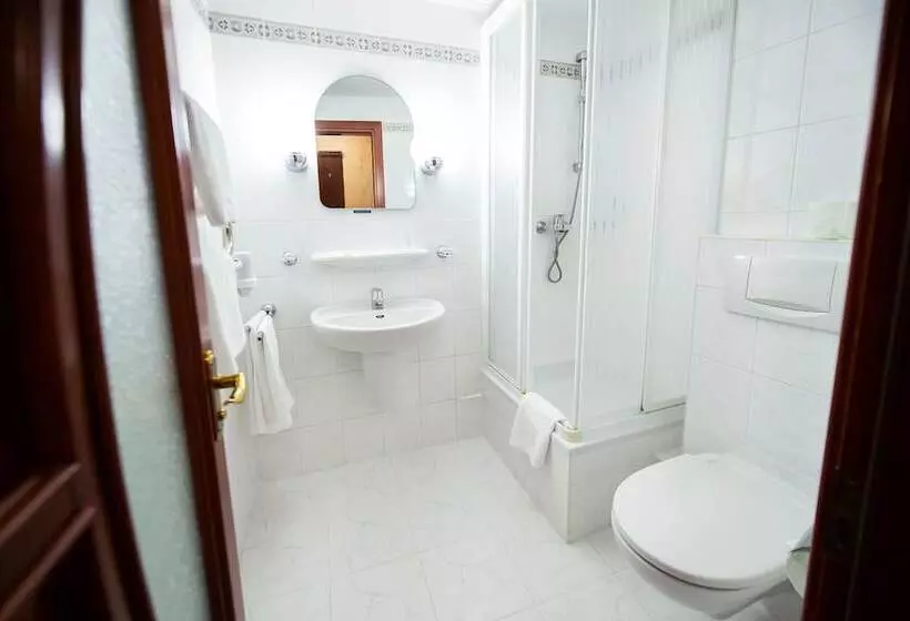 Fotos del hotel Salute:  13