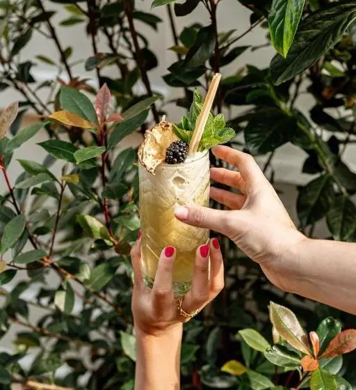 Fotos del hotel Grand Budapest:  77