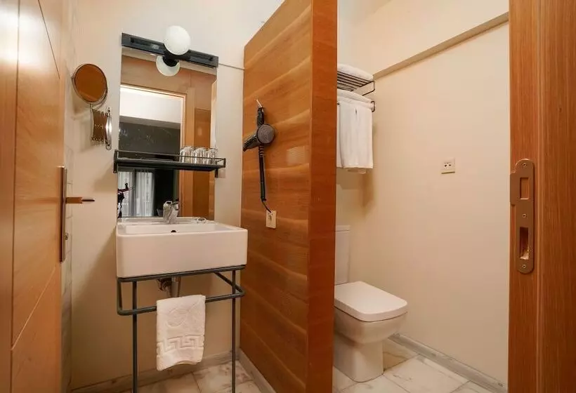 Fotos del hotel Faros Hotel Taksim:  15