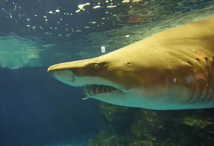 Fotos del hotel Toyoko Inn Tokyo Shinagawa Aomono-yokocho-eki:  7