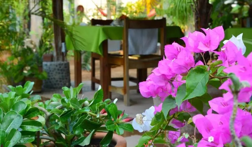 Fotos del hotel Villa Mozart Y Macondo:  15