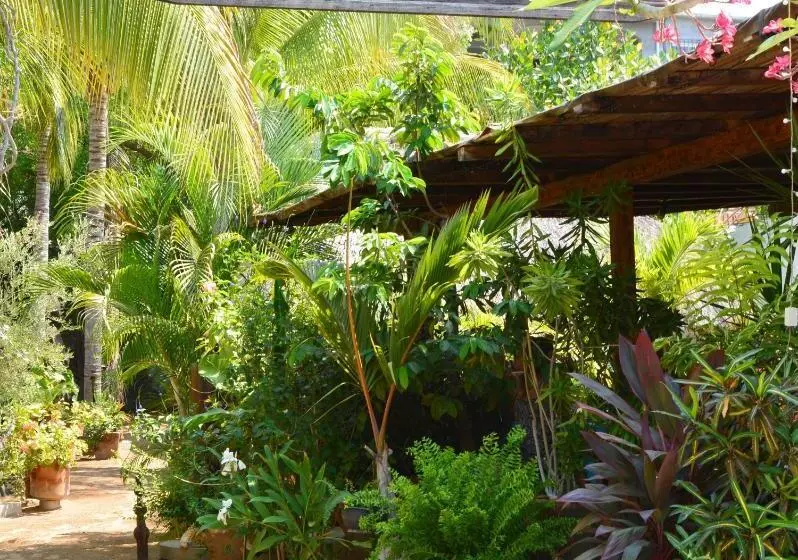 Fotos del hotel Villa Mozart Y Macondo:  11