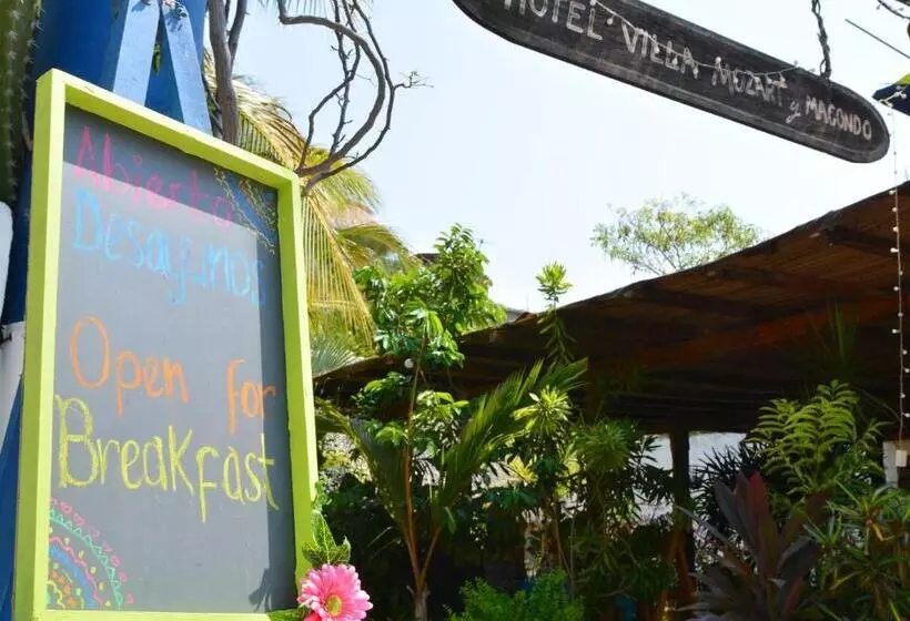 Fotos del hotel Villa Mozart Y Macondo:  3