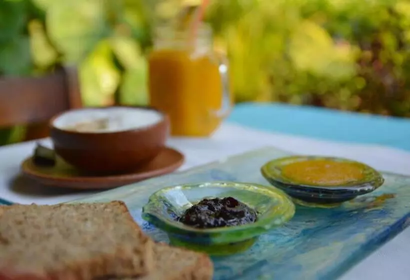 Fotos del hotel Villa Mozart Y Macondo:  23