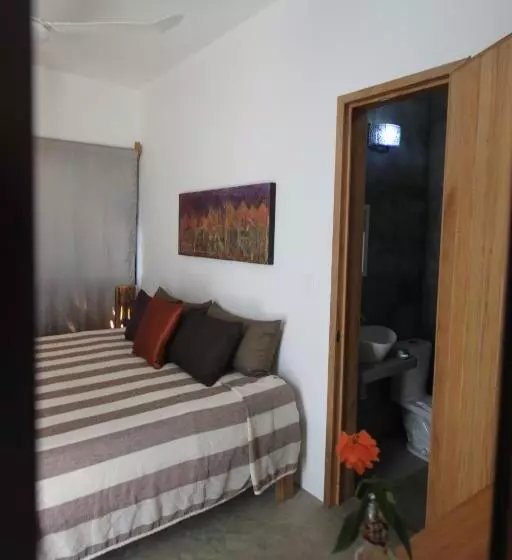 Fotos del hotel Villa Mozart Y Macondo:  13