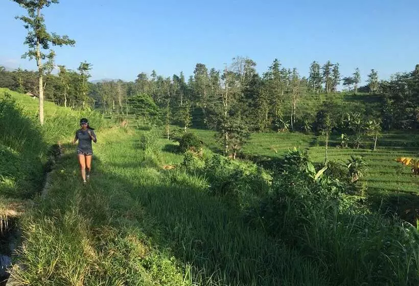 Fotos del hotel Finna Golf & Country Club:  23