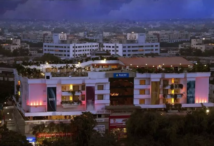 Luminous One Continent