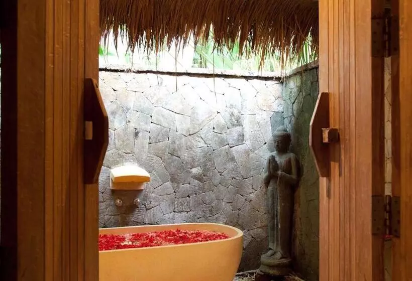 Fotos del hotel Villa Mathis:  3