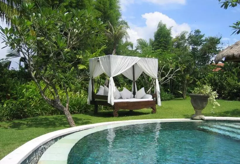 Fotos del hotel Villa Mathis:  19